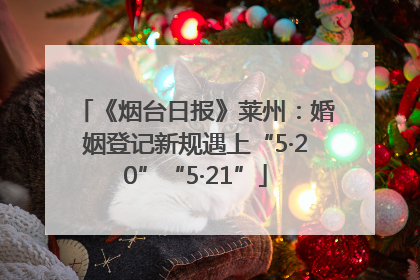《烟台日报》莱州：婚姻登记新规遇上“5·20”“5·21”