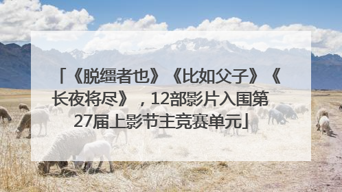 《脱缰者也》《比如父子》《长夜将尽》，12部影片入围第27届上影节主竞赛单元