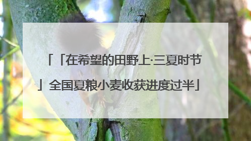 「在希望的田野上·三夏时节」全国夏粮小麦收获进度过半