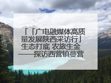 「广电融媒体高质量发展陕西采访行」生态打底 农旅生金——探访西营镇蔓营村省级旅游示范村的振兴密码