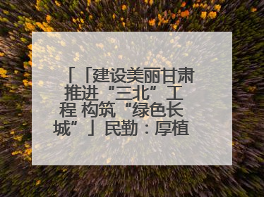 「建设美丽甘肃 推进“三北”工程 构筑“绿色长城”」民勤：厚植生态底色 筑牢绿色屏障