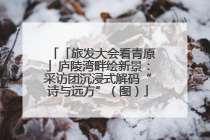 「旅发大会看青原」庐陵湾畔绘新景：采访团沉浸式解码“诗与远方”（图）