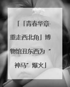 「青春华章·重走西北角」博物馆丑东西为“神马”爆火