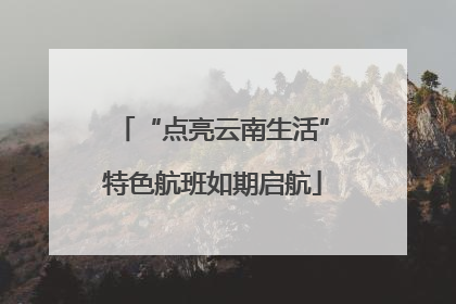 “点亮云南生活”特色航班如期启航