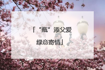 “瓶”添父爱 绿意寄情