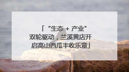 “生态 + 产业”双轮驱动，兰溪黄店开启高山西瓜丰收乐章