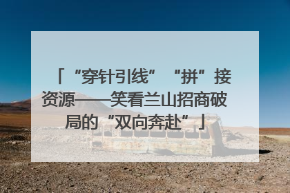 “穿针引线”“拼”接资源——笑看兰山招商破局的“双向奔赴”