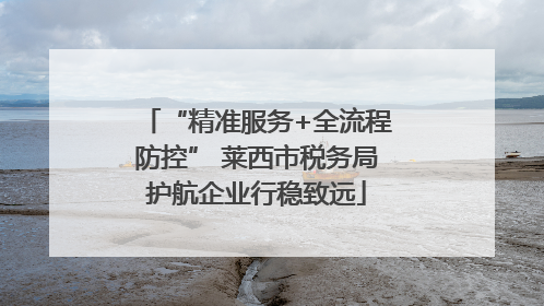 “精准服务+全流程防控” 莱西市税务局护航企业行稳致远