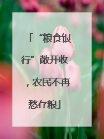 “粮食银行”敞开收，农民不再愁存粮