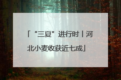 “三夏”进行时丨河北小麦收获近七成