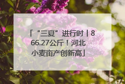 “三夏”进行时丨866.27公斤！河北小麦亩产创新高