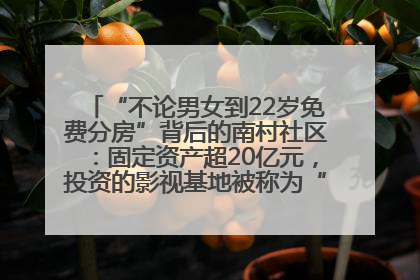 “不论男女到22岁免费分房”背后的南村社区：固定资产超20亿元，投资的影视基地被称为“山村好莱坞”
