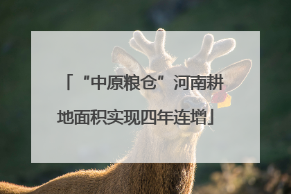 “中原粮仓”河南耕地面积实现四年连增