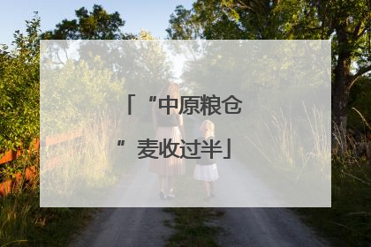 “中原粮仓”麦收过半