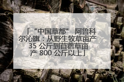 “中国草都” 阿鲁科尔沁旗：从野生牧草亩产 35 公斤到苜蓿草亩产 800 公斤以上