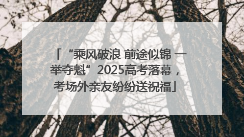“乘风破浪 前途似锦 一举夺魁”2025高考落幕，考场外亲友纷纷送祝福