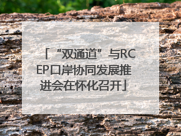 “双通道”与RCEP口岸协同发展推进会在怀化召开
