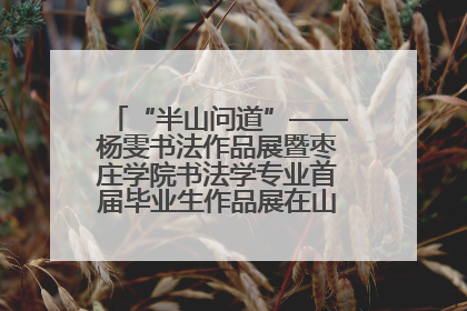 “半山问道”——杨雯书法作品展暨枣庄学院书法学专业首届毕业生作品展在山东省文化馆开幕