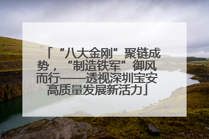 “八大金刚”聚链成势，“制造铁军”御风而行——透视深圳宝安高质量发展新活力