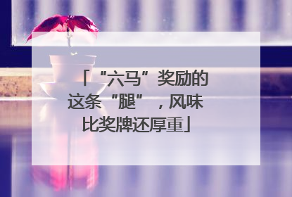 “六马”奖励的这条“腿”，风味比奖牌还厚重