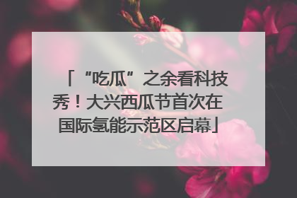 “吃瓜”之余看科技秀！大兴西瓜节首次在国际氢能示范区启幕