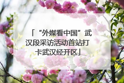 “外媒看中国”武汉段采访活动首站打卡武汉经开区