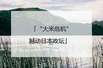 “大米危机”撼动日本政坛