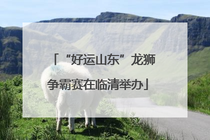 “好运山东”龙狮争霸赛在临清举办