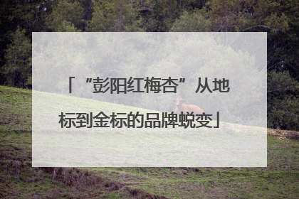 “彭阳红梅杏”从地标到金标的品牌蜕变