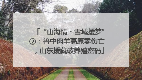 “山海情・雪域援梦”②：鲁中肉羊高原零伤亡，山东援藏破养殖密码