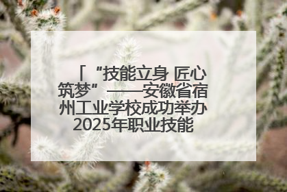 “技能立身 匠心筑梦”——安徽省宿州工业学校成功举办2025年职业技能活动周各项活动