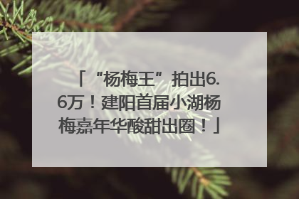 “杨梅王”拍出6.6万！建阳首届小湖杨梅嘉年华酸甜出圈！
