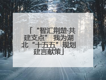 “智汇荆楚·共建支点” 我为湖北“十五五”规划建言献策