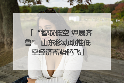“智驭低空 翼展齐鲁” 山东移动助推低空经济蓄势腾飞