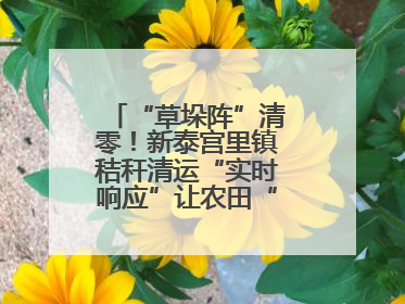 “草垛阵”清零！新泰宫里镇秸秆清运“实时响应”让农田“一键焕新”