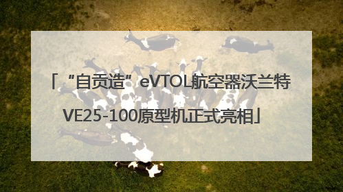 “自贡造”eVTOL航空器沃兰特VE25-100原型机正式亮相