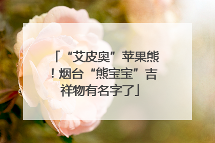 “艾皮奥”苹果熊！烟台“熊宝宝”吉祥物有名字了