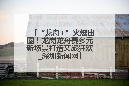 “龙舟+”火爆出圈！龙岗龙舟赛多元新场景打造文旅狂欢_深圳新闻网
