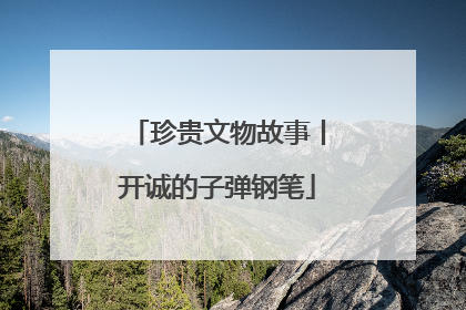 珍贵文物故事丨开诚的子弹钢笔