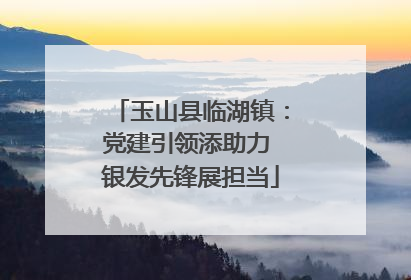 玉山县临湖镇：党建引领添助力 银发先锋展担当