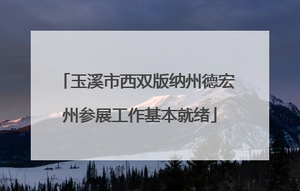 玉溪市西双版纳州德宏州参展工作基本就绪