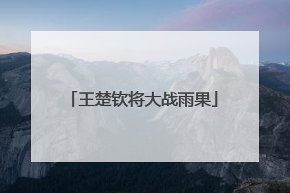 王楚钦将大战雨果