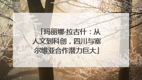 玛丽娜·拉古什：从人文到科创，四川与塞尔维亚合作潜力巨大