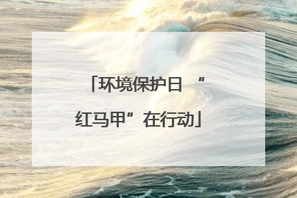 环境保护日 “红马甲”在行动