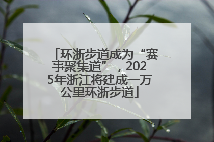 环浙步道成为“赛事聚集道”，2025年浙江将建成一万公里环浙步道