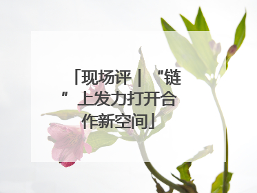 现场评｜“链”上发力打开合作新空间