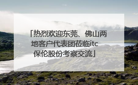 热烈欢迎东莞、佛山两地客户代表团莅临itc保伦股份考察交流
