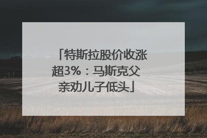 特斯拉股价收涨超3%：马斯克父亲劝儿子低头