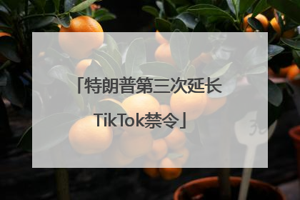 特朗普第三次延长TikTok禁令