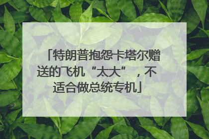 特朗普抱怨卡塔尔赠送的飞机“太大”，不适合做总统专机
